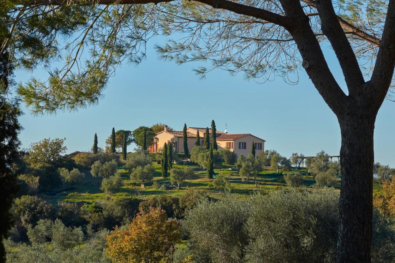 Poggio Tamantino, Villa Con Piscina In Maremma Poggio Cavallo Exteriör bild